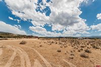 70746 Buckhorn Road, Montrose, CO 81403