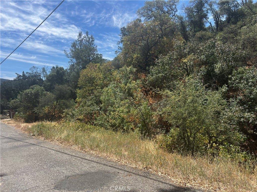 12225 Mount View Drive, Clearlake Oaks, CA 95423