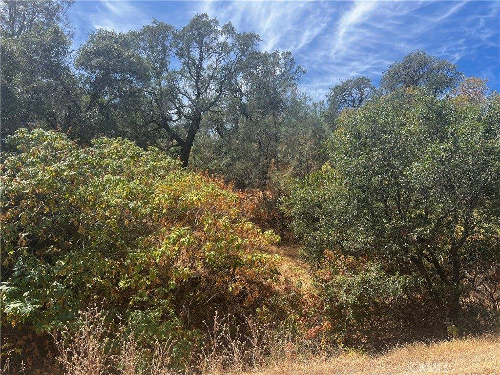 12225 Mount View Drive, Clearlake Oaks, CA 95423