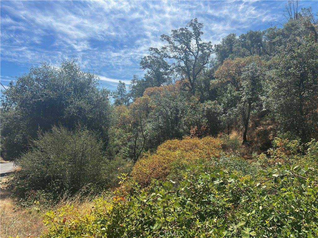 12225 Mount View Drive, Clearlake Oaks, CA 95423