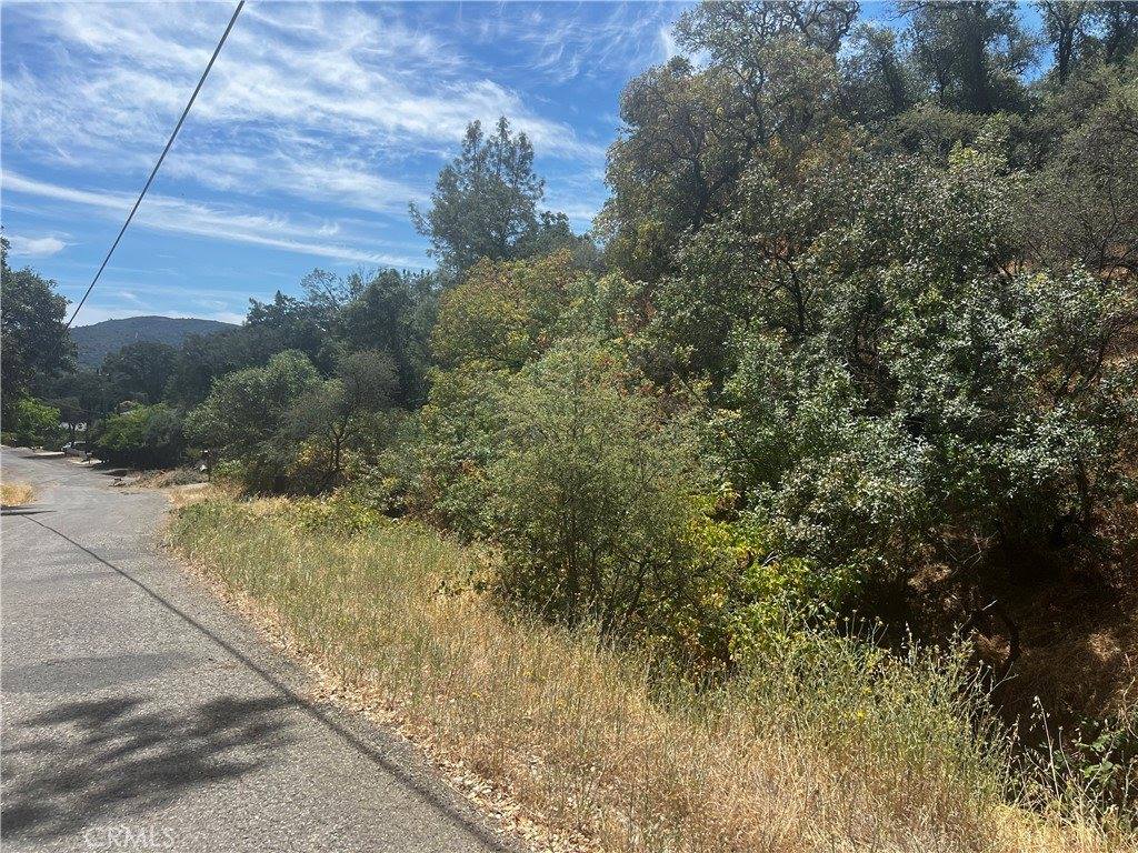 12225 Mount View Drive, Clearlake Oaks, CA 95423