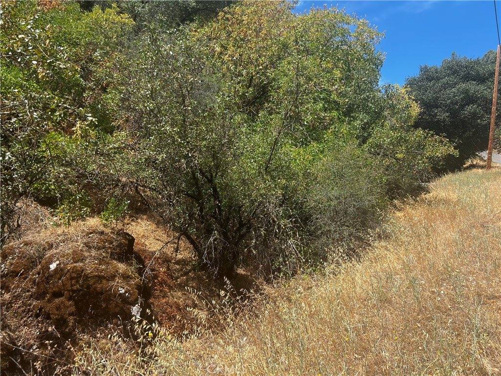 12225 Mount View Drive, Clearlake Oaks, CA 95423