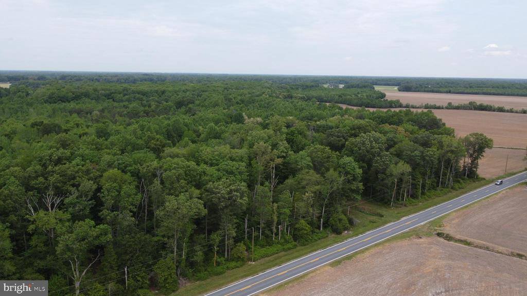 Lot 4 Cedar Grove Church Road, Felton, DE 19943