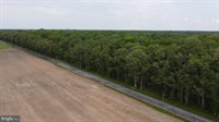 Lot 4 Cedar Grove Church Road, Felton, DE 19943