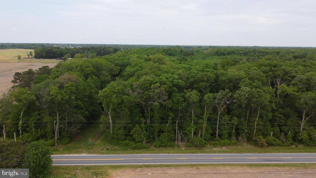 Lot 14 Cedar Grove Church Road, Felton, DE 19943