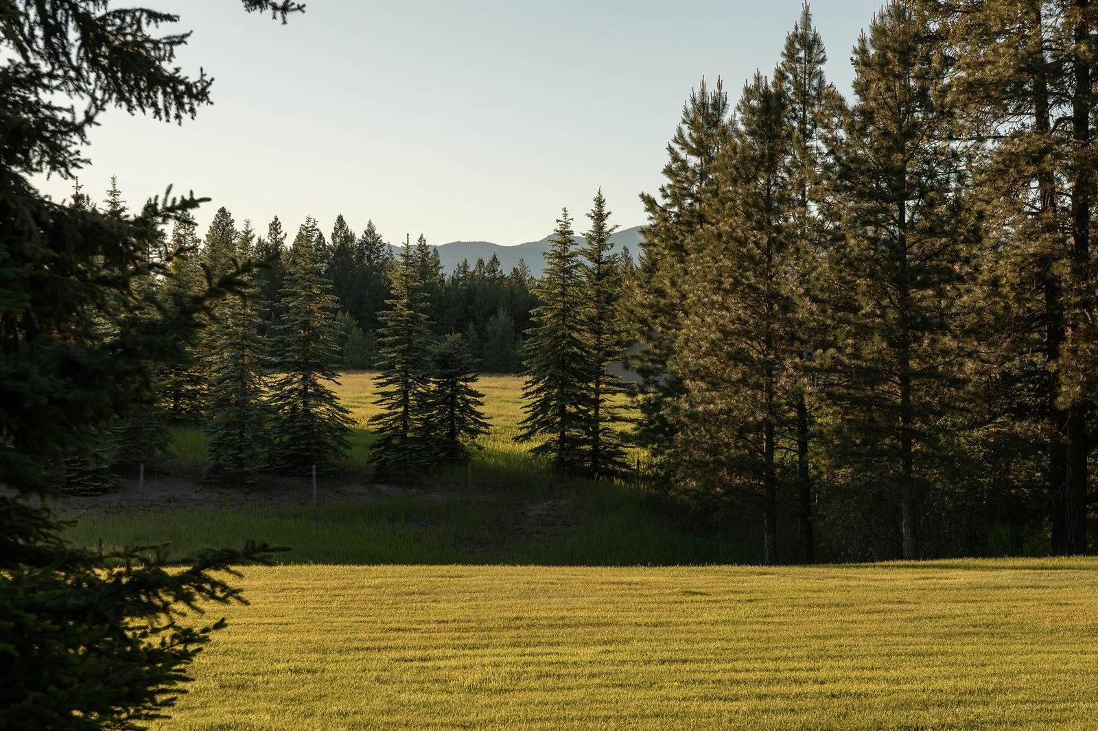 979 Hodgson Road, Columbia Falls, MT 59912