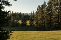 979 Hodgson Road, Columbia Falls, MT 59912