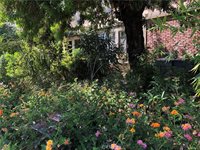 611 East Maple #3, Glendale, CA 91205