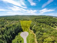 2-Lot Lot 2 Sec 2 Falcon Ridge Dr, Pittsville, VA 24139