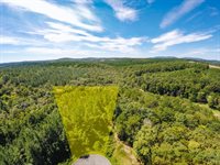 2-Lot Lot 2 Sec 2 Falcon Ridge Dr, Pittsville, VA 24139