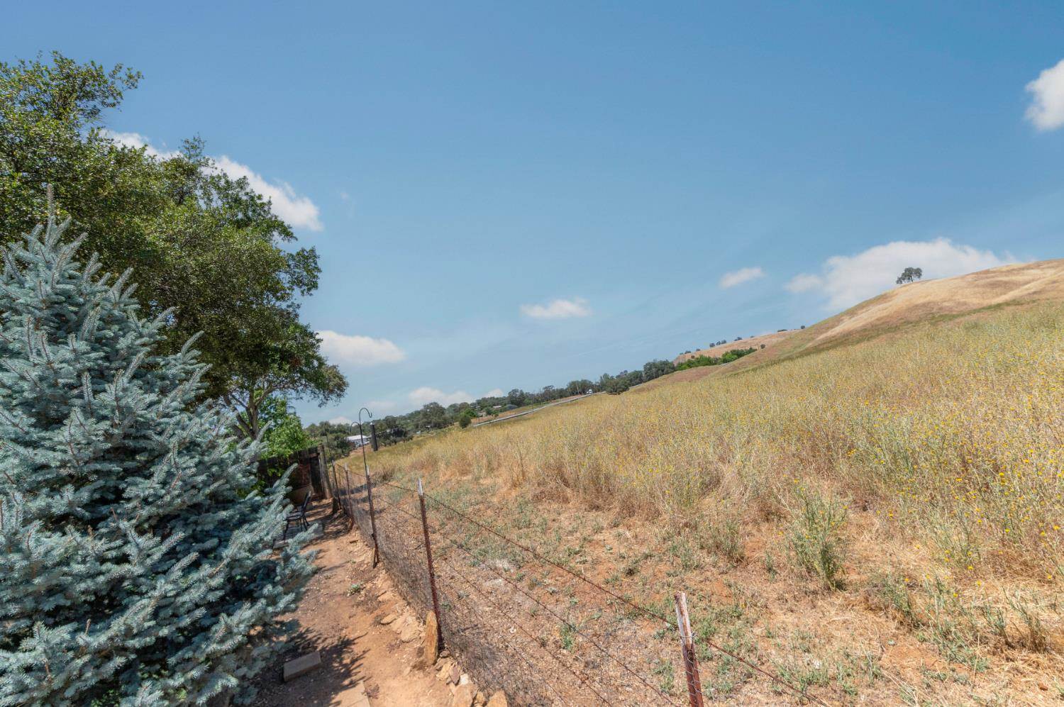 1070 Suzanne Drive, Angels Camp, CA 95222