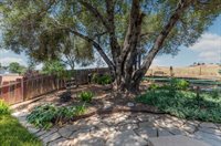 1070 Suzanne Drive, Angels Camp, CA 95222