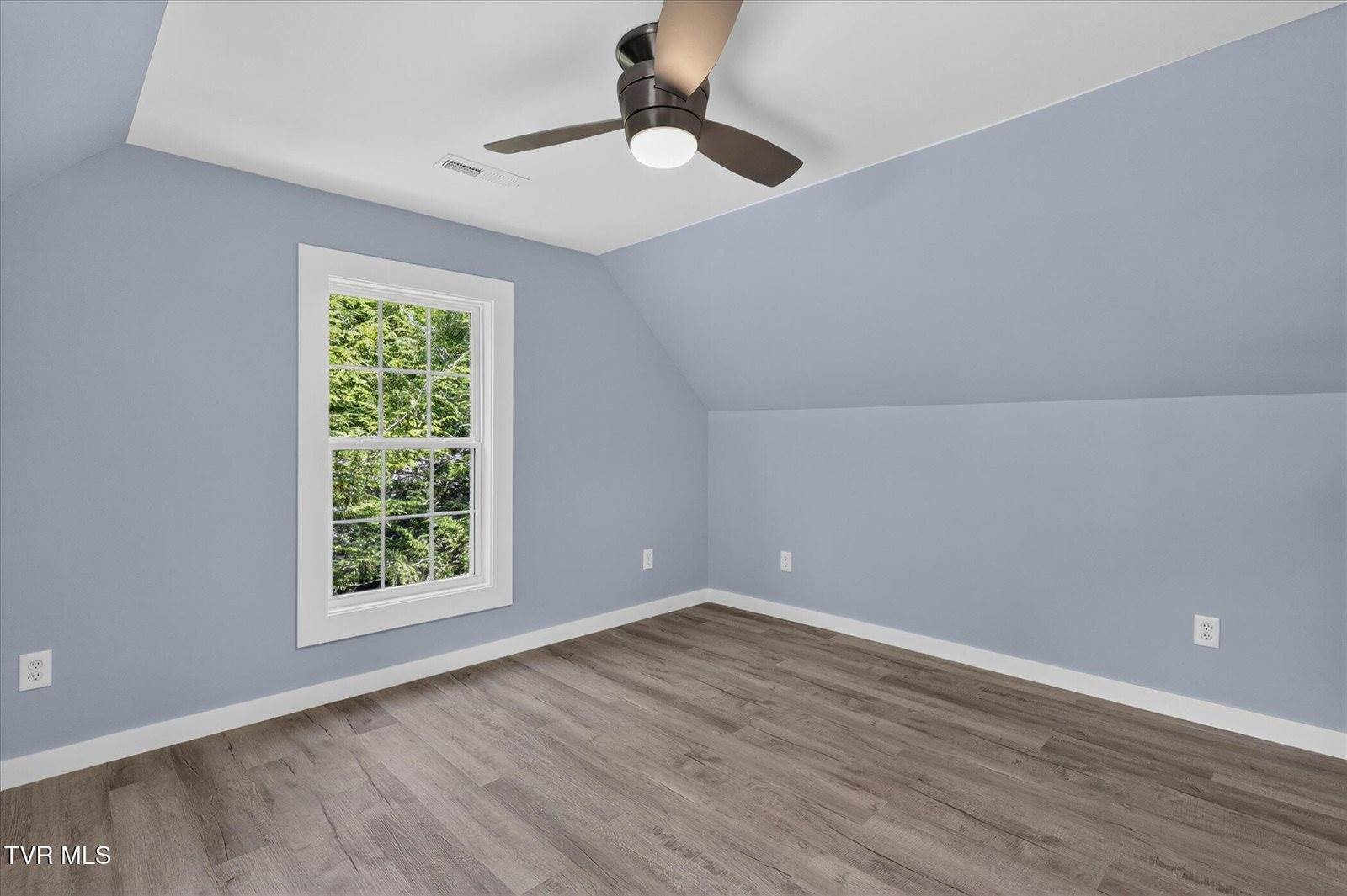 1401 Virginia Street, Johnson City, TN 37604