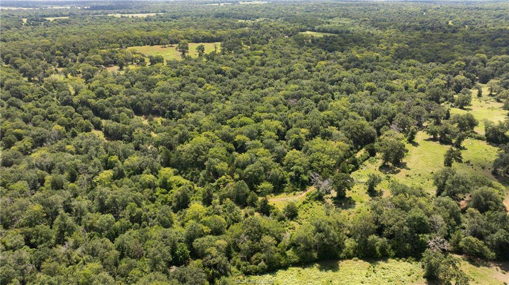 4074 Bucksnort Road, Franklin, TX 77856