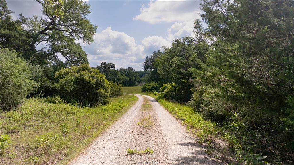 4074 Bucksnort Road, Franklin, TX 77856