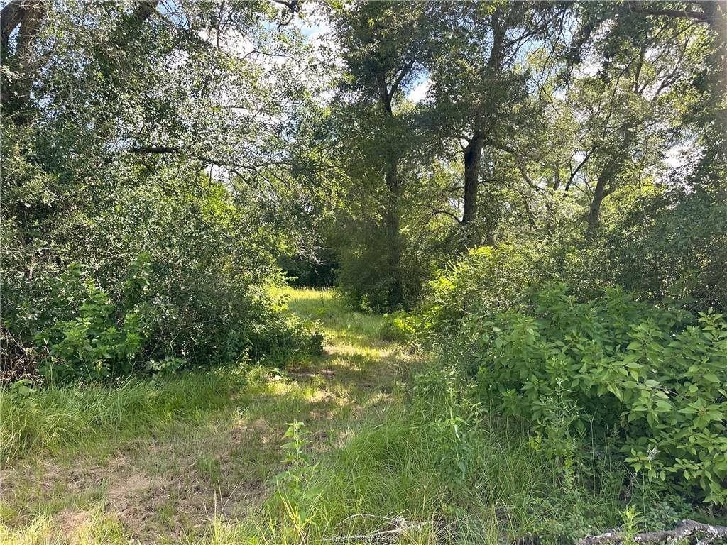 4074 Bucksnort Road, Franklin, TX 77856