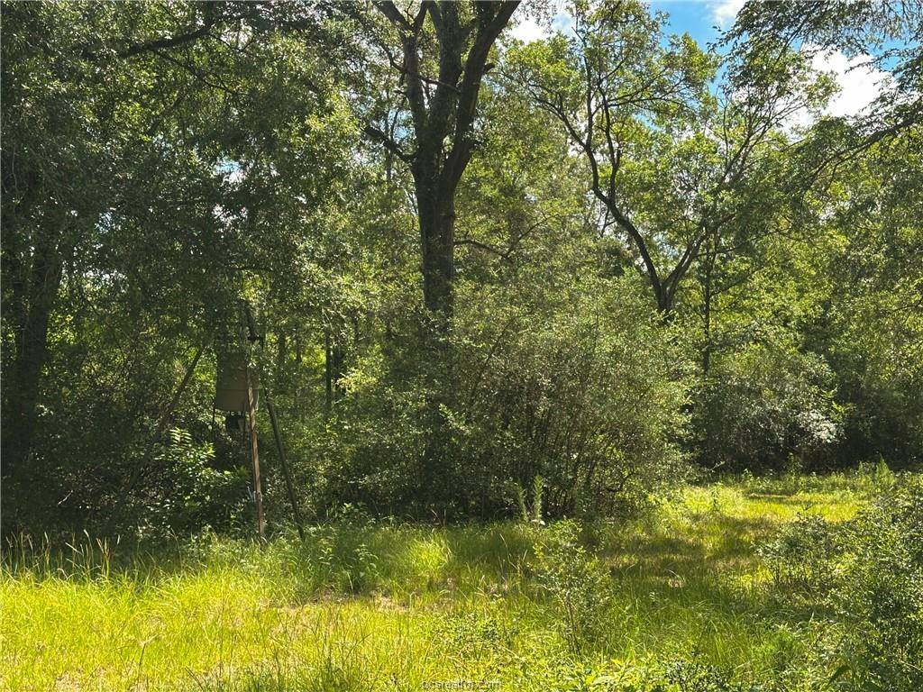 4074 Bucksnort Road, Franklin, TX 77856