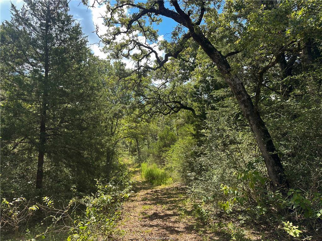 4074 Bucksnort Road, Franklin, TX 77856