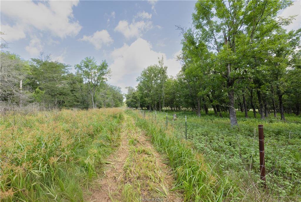 4074 Bucksnort Road, Franklin, TX 77856