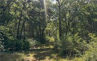 4074 Bucksnort Road, Franklin, TX 77856