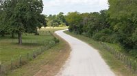 4074 Bucksnort Road, Franklin, TX 77856