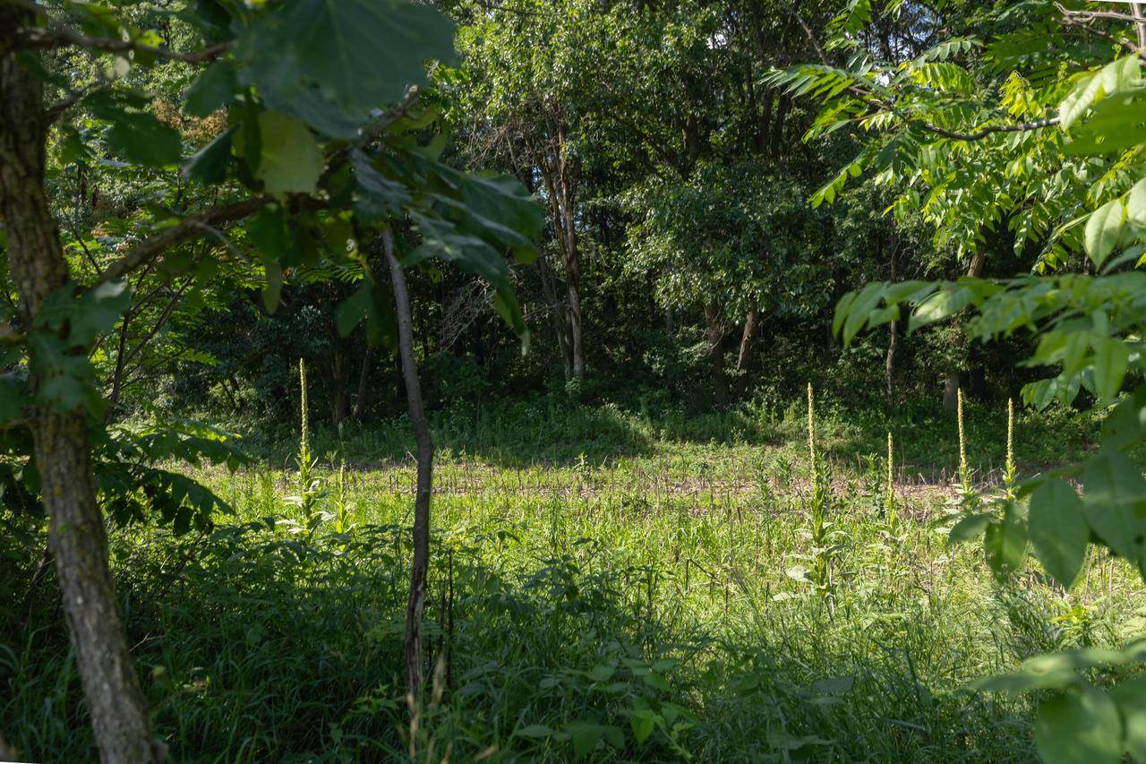 0 County Road Ae, Mindoro, WI 54644
