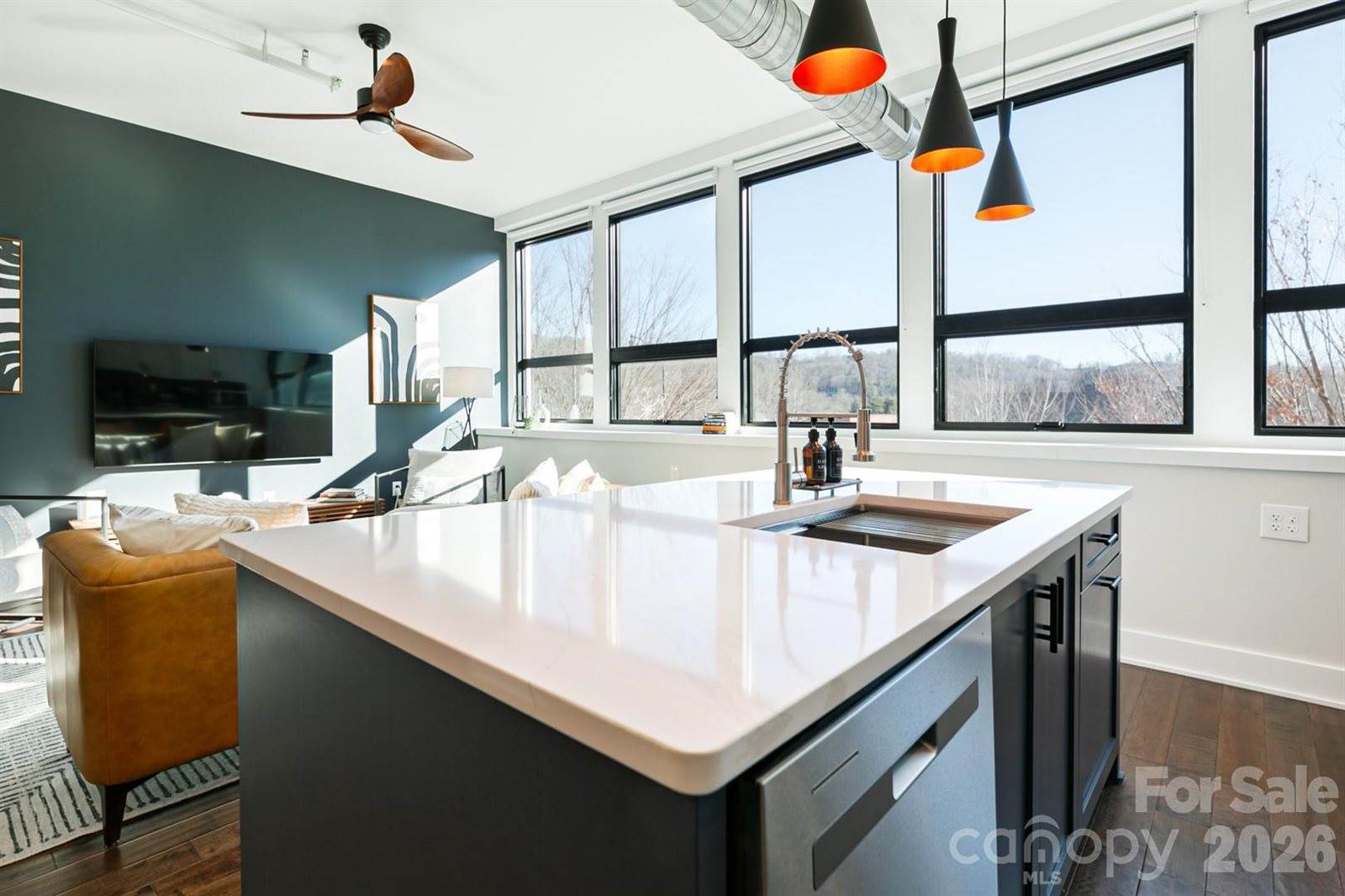 122 College Street, Asheville, NC 28801