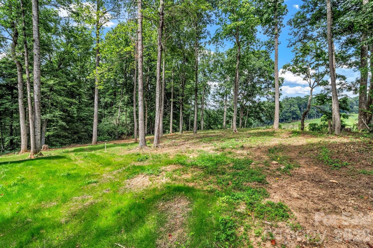 80 Goldenwood Lane, Mills River, NC 28759