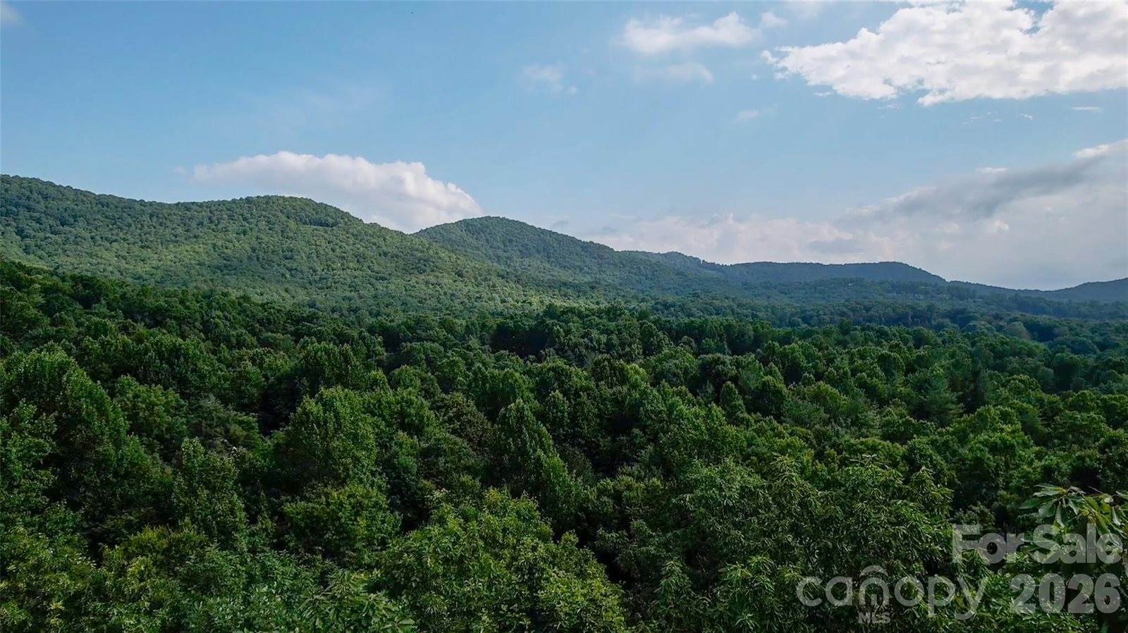 724 Streamside Drive, Arden, NC 28704