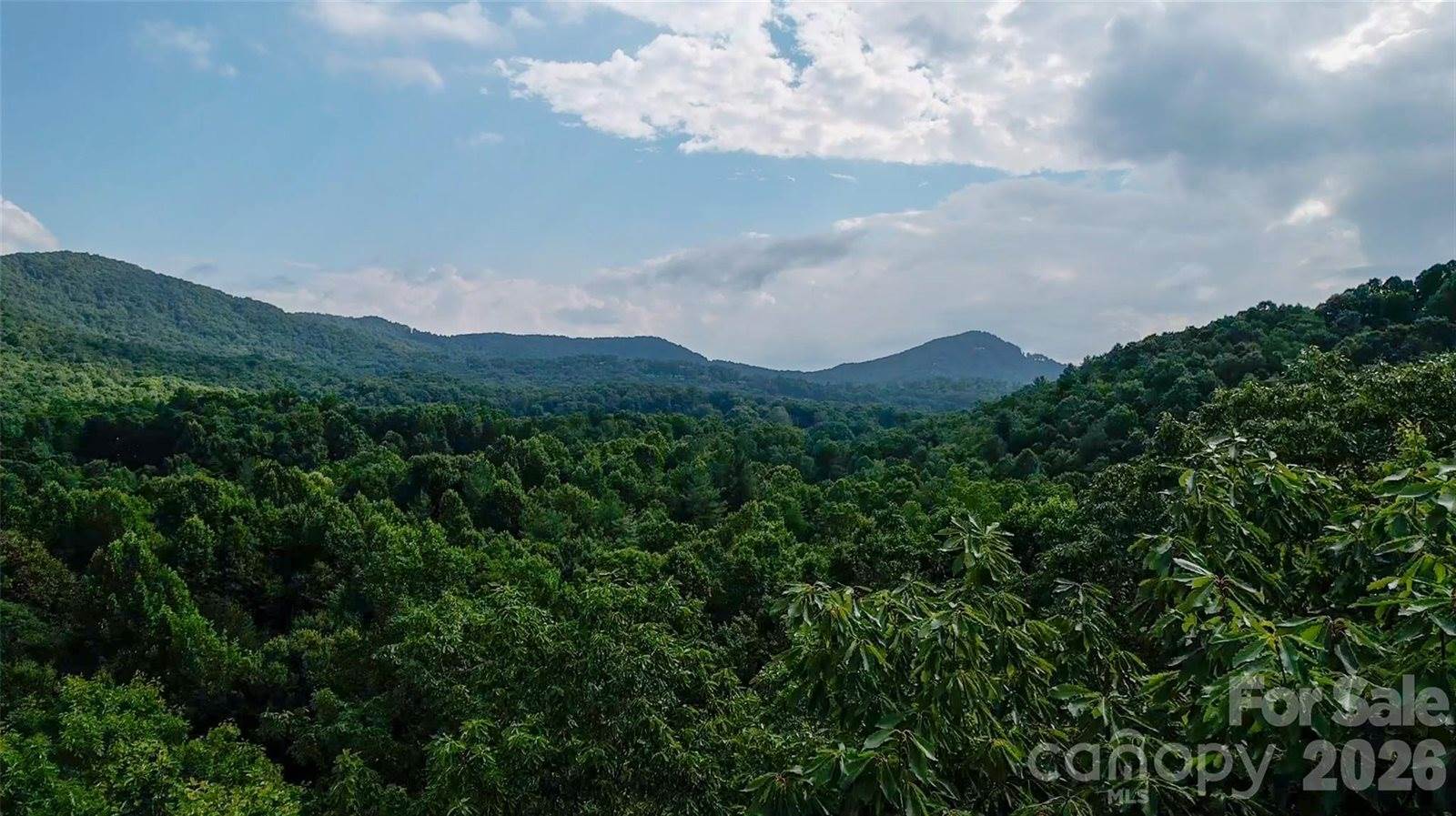 724 Streamside Drive, Arden, NC 28704