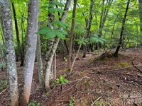 724 Streamside Drive, Arden, NC 28704
