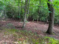 724 Streamside Drive, Arden, NC 28704