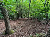 724 Streamside Drive, Arden, NC 28704