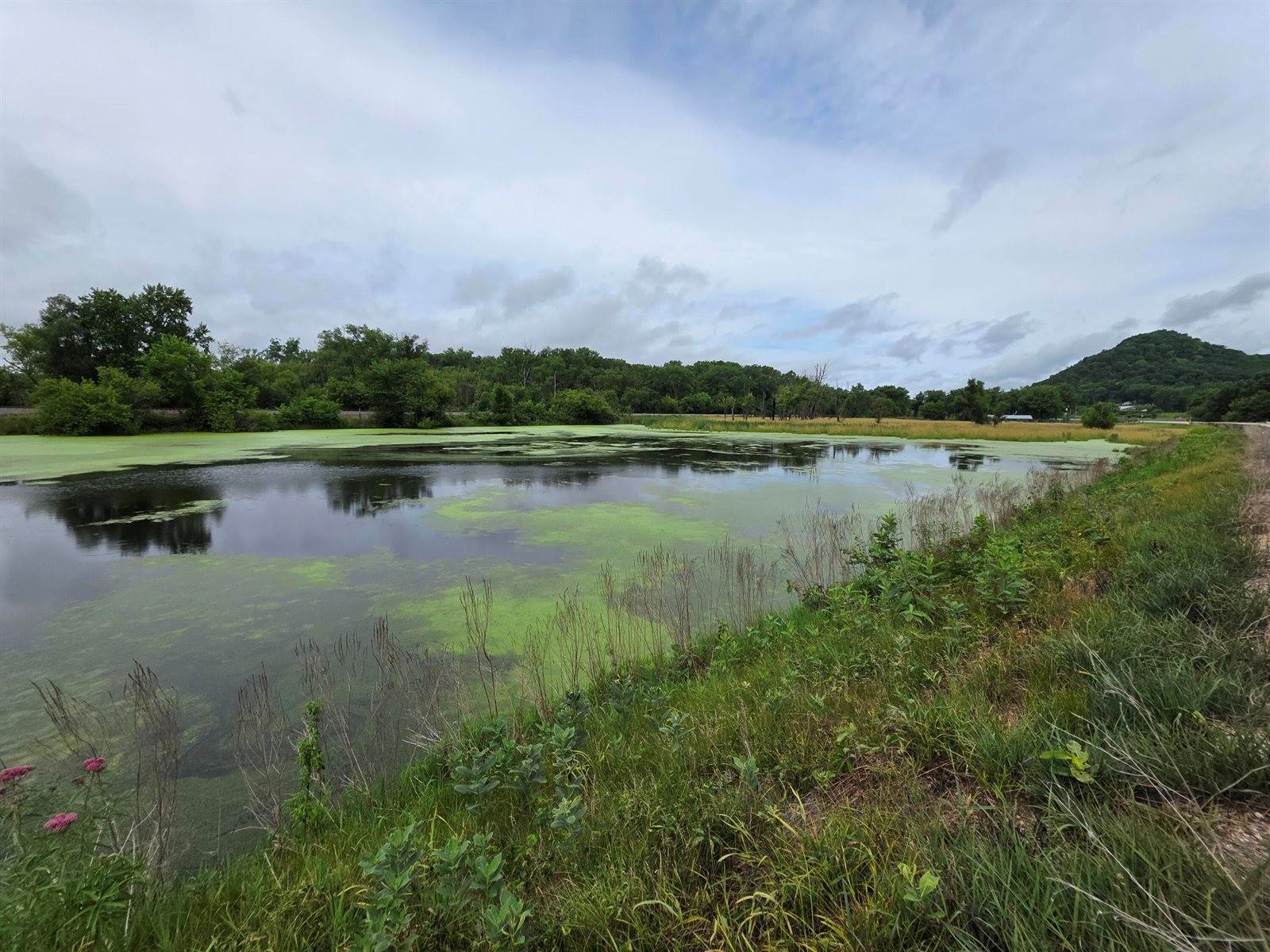 Lot 0 State Highway 35 -, Ferryville, WI 54628