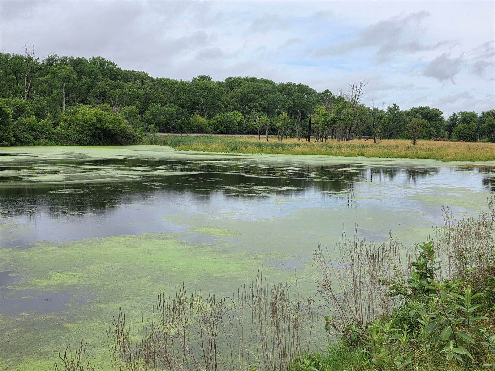 Lot 0 State Highway 35 -, Ferryville, WI 54628