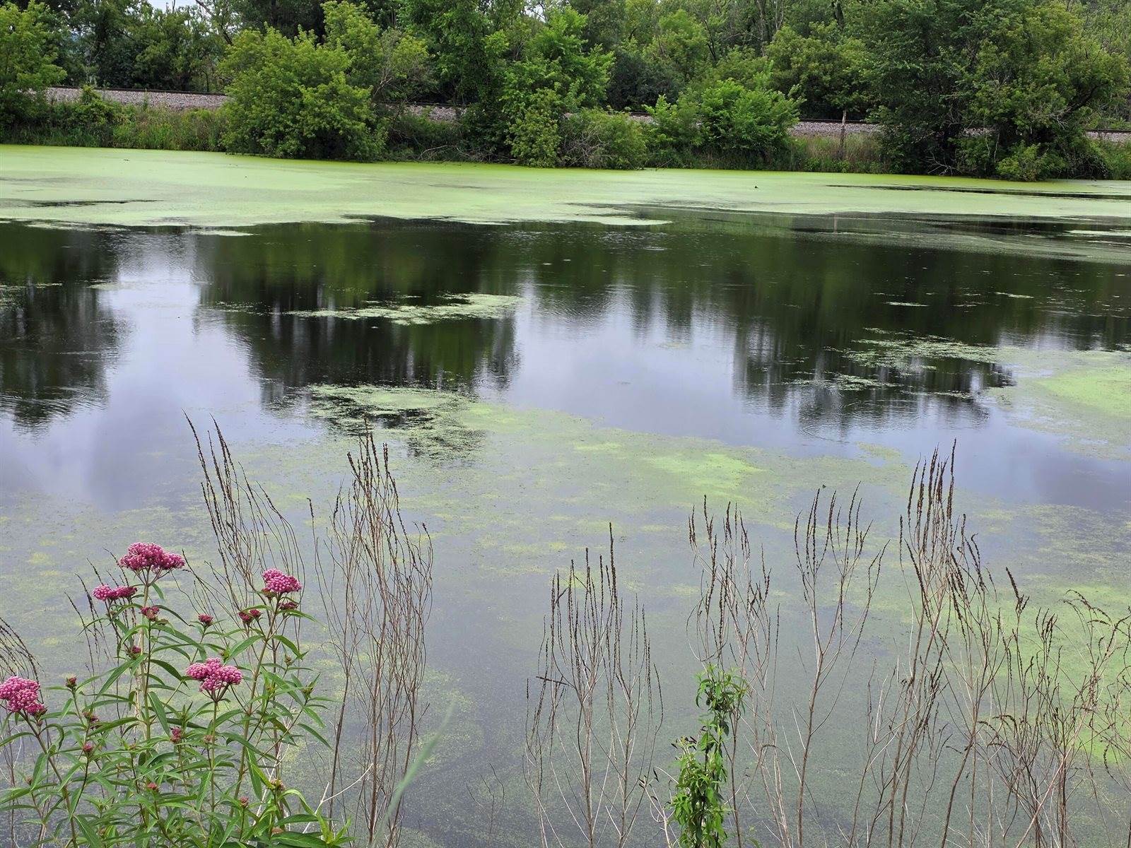 Lot 0 State Highway 35 -, Ferryville, WI 54628