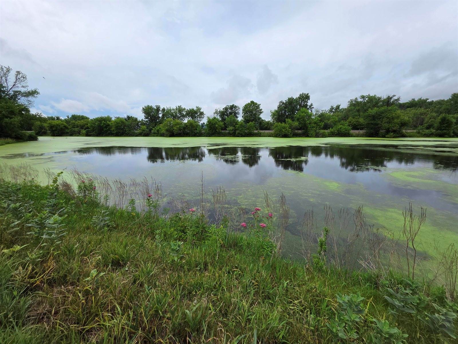 Lot 0 State Highway 35 -, Ferryville, WI 54628