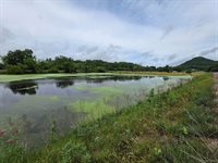 Lot 0 State Highway 35 -, Ferryville, WI 54628