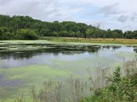 Lot 0 State Highway 35 -, Ferryville, WI 54628