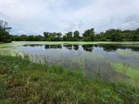 Lot 0 State Highway 35 -, Ferryville, WI 54628