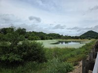 Lot 0 State Highway 35 -, Ferryville, WI 54628