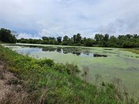 Lot 0 State Highway 35 -, Ferryville, WI 54628