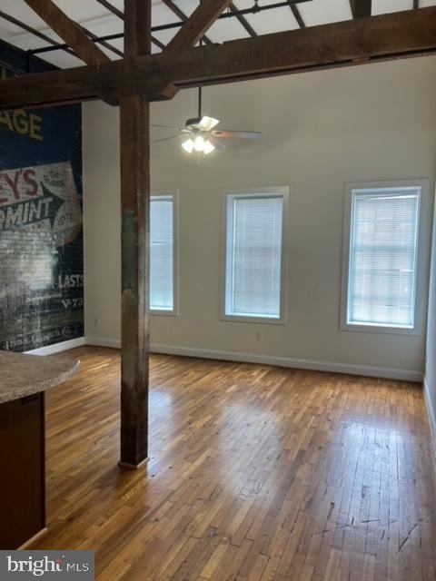302 North Cameron Street, Winchester, VA 22601