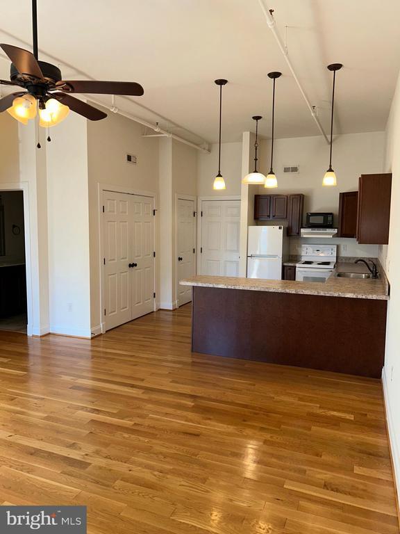 302 North Cameron Street, Winchester, VA 22601