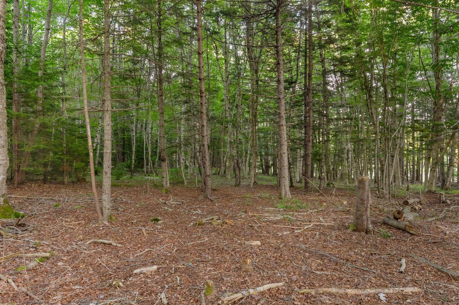 5 Cedar Hill Road, Tremont, ME 04674