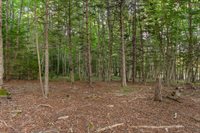 5 Cedar Hill Road, Tremont, ME 04674