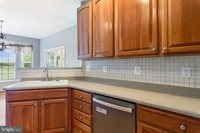 16 Wauwinet Court, Rehoboth Beach, DE 19971