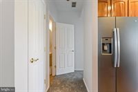 16 Wauwinet Court, Rehoboth Beach, DE 19971