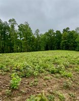 23085 Jordan Run Road, Coolville, OH 45723