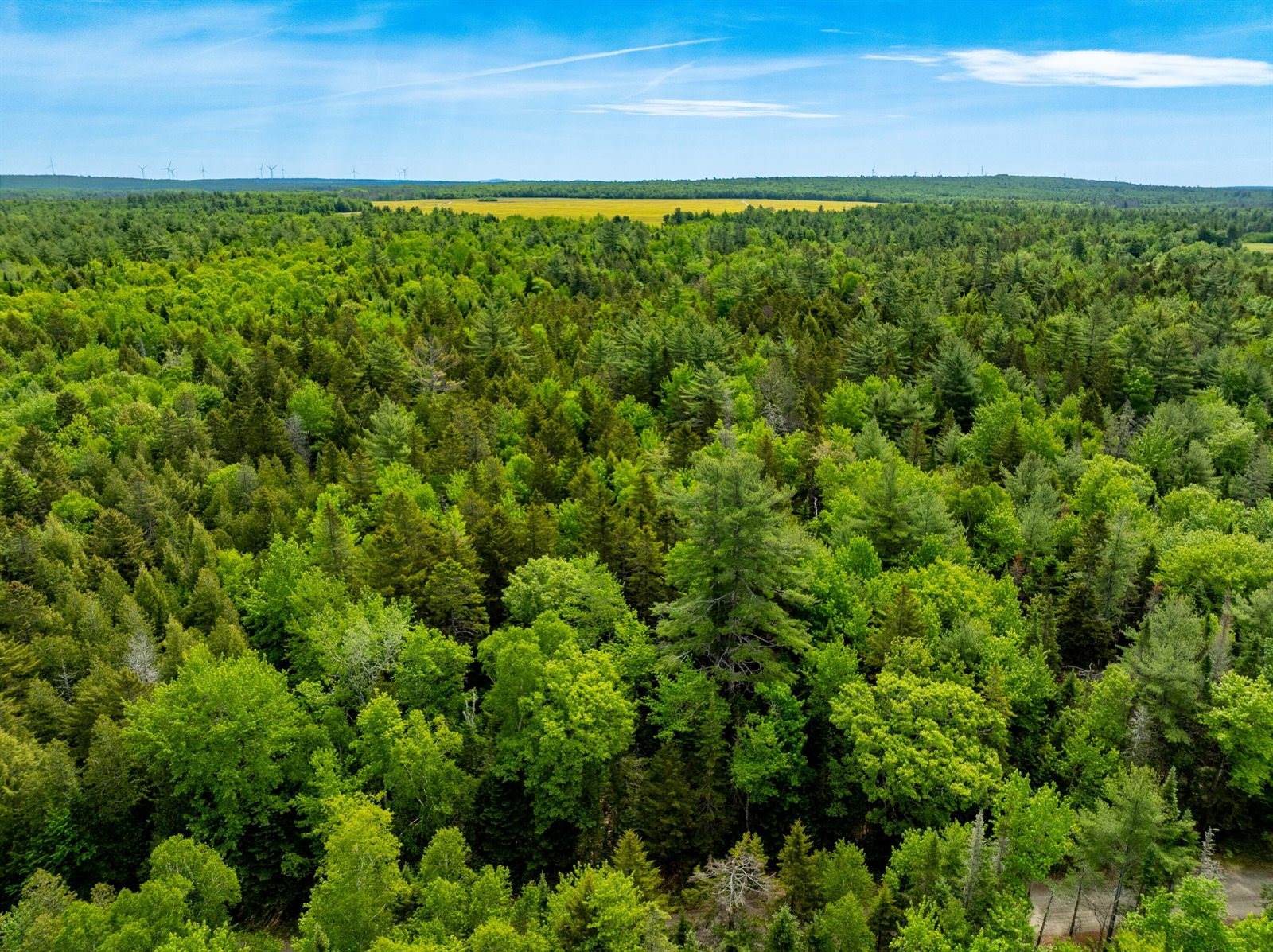 400 River Bend Road, Deblois, ME 04622